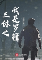 三體之我是羅輯在線閱讀