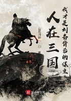 人在三国,我才是刘备背后的谋主