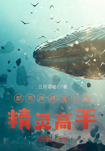 都市神奇寶貝之精靈高手