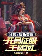 红楼:复仇贾府,开局征服王熙凤在线阅读