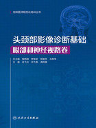 头颈部影像诊断基础：眼部和神经视路卷