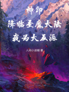 神印:降临圣魔大陆,我为大反派在线阅读