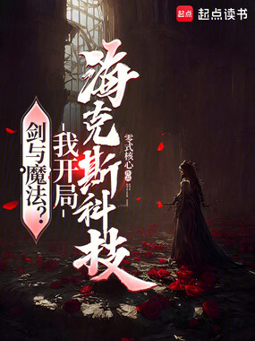 剑与魔法?我开局海克斯科技!在线阅读