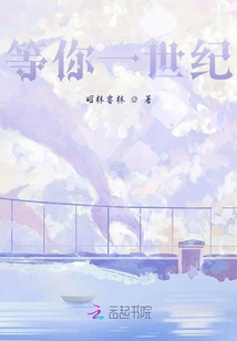 等你一世纪