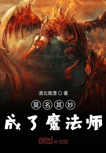 莫名其妙成了魔法師