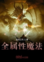 全属性魔法在线阅读
