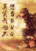 其實我也不想當BUG在線閱讀