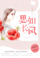思如长风
