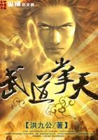武道掌天在线阅读