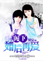 阁下:婚后再爱在线阅读