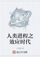 人类进程之效应时代