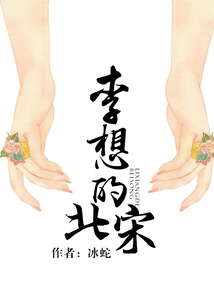 李想的北宋