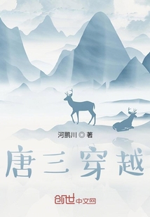 唐三的穿越