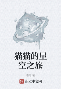 貓貓的星空之旅