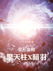 變形金剛：擎天柱X暗羽