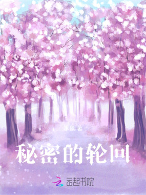 秘密的轮回在线阅读