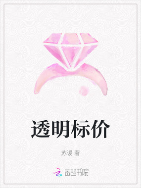 透明标价在线阅读