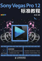 Sony Vegas Pro 12标准教程