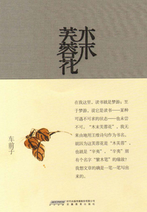 木末芙蓉花