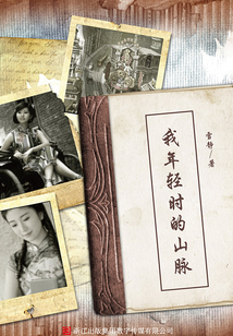 我年輕時的山脈