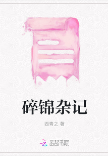碎錦雜記