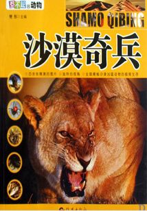 沙漠奇兵