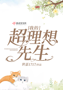 我的超理想先生