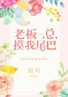 老板總摸我尾巴在線閱讀