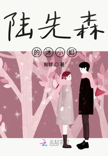 陸先森的沐小姐