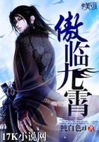 傲临九霄