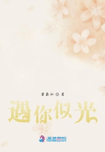 遇你似光