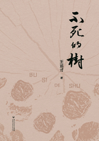 不死的树在线阅读