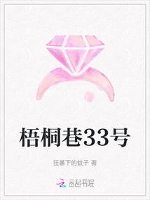 梧桐巷33號