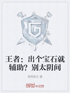 王者:出个宝石就辅助?别太阴间在线阅读