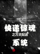 快递惊魂之万灵配送系统在线阅读