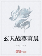 玄天战尊萧晨在线阅读