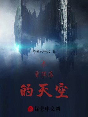 未曾陨落的天空在线阅读