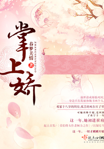 掌上娇在线阅读