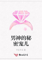 男神的秘密寵兒在線閱讀