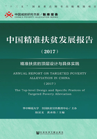 中国精准扶贫发展报告（2017）：精准扶贫的顶层设计与具体实践在线阅读