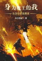 身為魔王的我隊(duì)友卻全是勇者在線閱讀