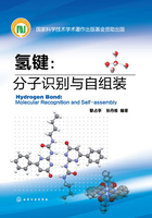 氢键：分子识别与自组装在线阅读