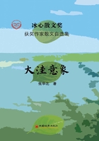 大洼意象在線閱讀