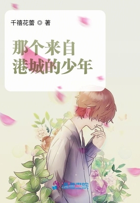 那个来自港城的少年在线阅读