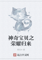 神奇宝贝之荣耀归来在线阅读