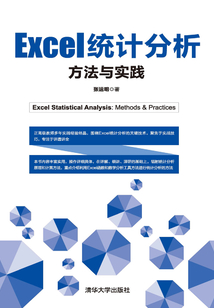 Excel統(tǒng)計分析：方法與實踐
