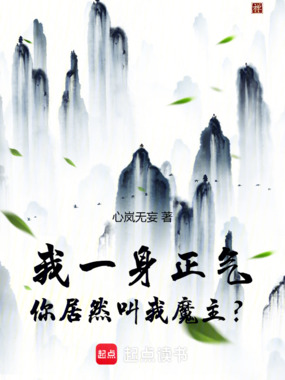 我一身正气,你居然叫我魔主?在线阅读