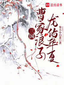 三國：曹家浪子，龍佑華夏
