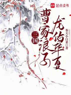 三国：曹家浪子，龙佑华夏在线阅读