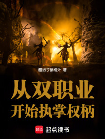 從雙職業開始執掌權柄